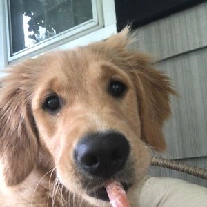 Meet your Posher, Veronica